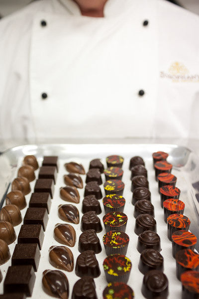 Chocolate  Catering